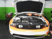 /album/galeria-de-fotos-pagina-inicial/mustang-branco-p-laranja-4-jpg/